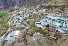 从“忧居”到“优居”：一栋房子的“革命” 